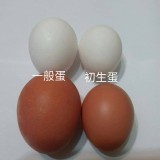 初生蛋（白殼蛋）3斤禮盒裝（另有家族價）