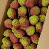 衫林區- 粒裝玉荷包5斤禮盒 （原價$500） 特價：$450