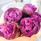 冰烤紫御地瓜1000g