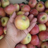 福壽山-小蘋果10顆/袋約1200g)