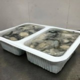 台灣王功蚵(乾蚵)