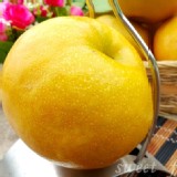 特甜爆汁甜蜜梨-加大尺寸版 1粒39元,單粒重420公克+-10%