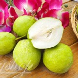 梨山馥香梨1顆150g+-10%