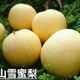 梨山雪蜜梨 310g+-10%/顆
