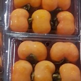 神農四周柿（13-15兩/盒）