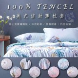 100%天絲棉枕頭套(2個) 尺寸：45*75cm. 顏色：隨機能接受再下單