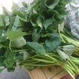 地瓜葉一斤（日本品種）