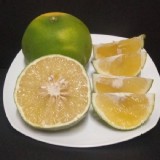 💚綠皮 甜葡萄柚💚3斤/袋 （7-9顆）
