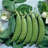 白花豌豆 1斤/袋 產地~二林