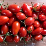 溫室玉女番茄 1斤/盒 產地:🌈七號農場