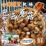 台灣南投埔里 B.乾燥巴西蘑菇【50g±10%】