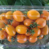 黃色小蕃茄1斤/盒