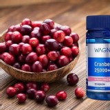 Wagner 蔓越莓超濃縮25000mg/90粒裝
