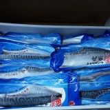 挪威薄鹽鯖魚210g/片 原價＄70