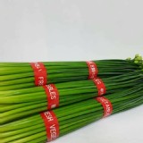 韭菜花🌾 300g/把 產地~二林