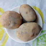 馬鈴薯500g/3入／袋