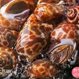 野生活凍鳳螺 2公斤