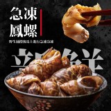 急凍鳳螺 重量:1kg/包 包裝方式:袋裝封口