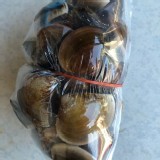 現撈鮮甜蛤蠣2包一組（600g）