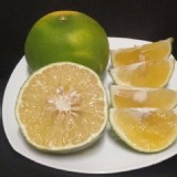 綠皮甜葡萄柚3斤／袋 🍐 產地~石岡