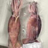 大隻魷魚冰卷💥大規格230-270g/尾