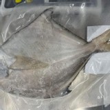 船凍白鯧魚 200-300g/尾