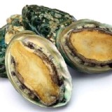 鮮凍極Q鮑魚(10顆) 280g+-10%