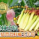 雲林古坑 -特優級紅鬚帶殼鮮嫩玉米筍 3斤