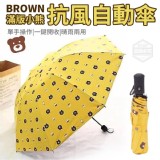 滿版小熊抗風自動傘 (不挑色)