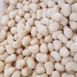 💗澎湖西嶼狗母魚丸💗 規格:300g/包 團購價