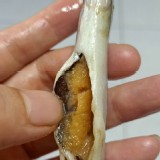 【大規格爆卵柳葉魚200G】 ✔️無包冰單凍柳葉魚