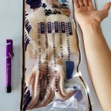 魷魚一夜干270-300g／尾(無紙板）