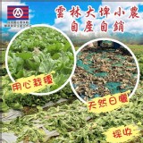 雲林大埤小農日曬梅干菜🥬100G