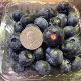 ✨祕魯巨無霸藍莓125g✨ 💰售價：70/盒