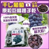 日本原裝進口超大巨蜂葡萄430g 特價