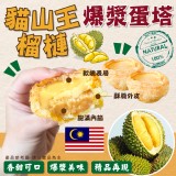 原價499貓山王榴槤 爆漿榴槤蛋塔 重量:30g/個(共8入)原價499