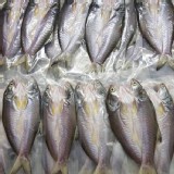 限量👉敲碗商品🐟午仔魚一夜干220g🐟市價$130 特價