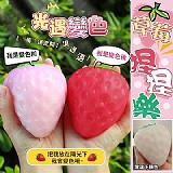 不要吃～太大顆了喔‼️偽草莓捏捏樂〔+1=4顆〕