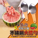 不鏽鋼果肉輕鬆分離大挖勺【+1=2支】