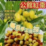 苗栗公館現採 小農新鮮紅棗450g