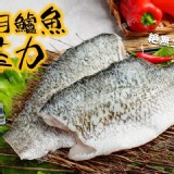 金目鱸魚菲力 150~200g/包 箱出100包 產地：台灣