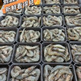 特選岩鹽鮮蝦（毛重400g)