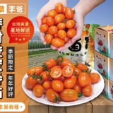 ✨美濃李爸特甜橙蜜番茄5斤✨