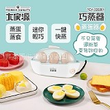 TCY-320201 大家源巧蒸器