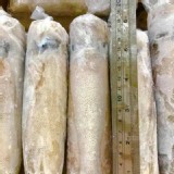 3AAA活凍軟絲300-400克/隻