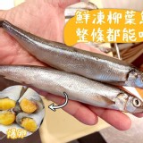 鮮凍柳葉魚200g/包 10尾+-1（一組2包）