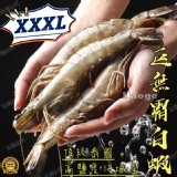 頂級 巨無霸海白蝦(21/25)750g/盒(約11~13隻)