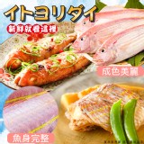 野生鮮凍金線魚150/200g（2尾/包）（二包一組）