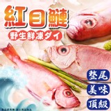 野生鮮凍紅目鰱150/200g(2尾/包) (2包一組）
