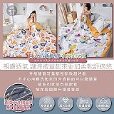 ⚜️雙面款 日式清新風格加大可水洗涼被